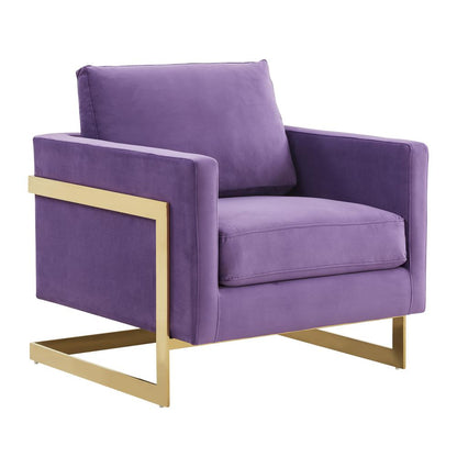 Velvet Accent Armchair With Gold Frame