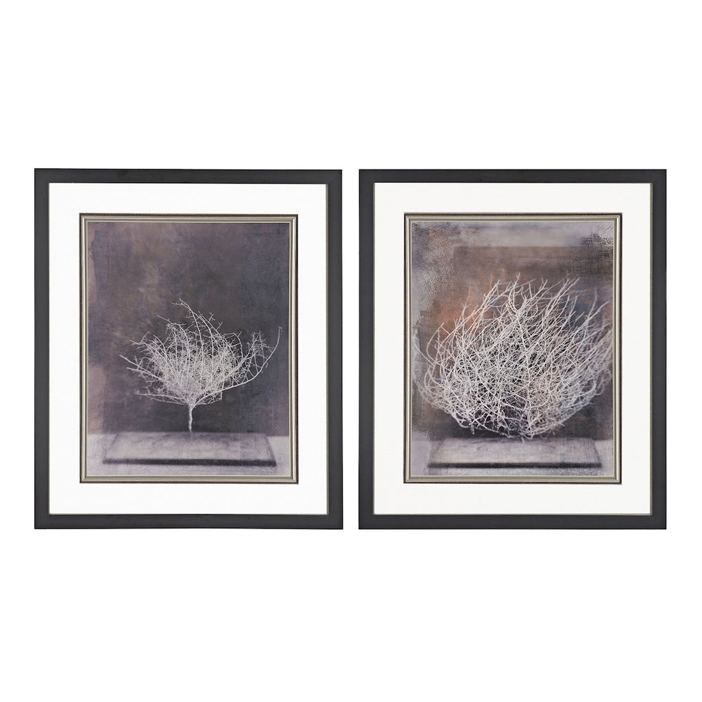 DESERT FORM V, VI - PRINT UNDER GLASS