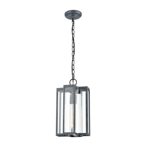 Bianca 1-Light Hanging in Aged Zinc with Clear