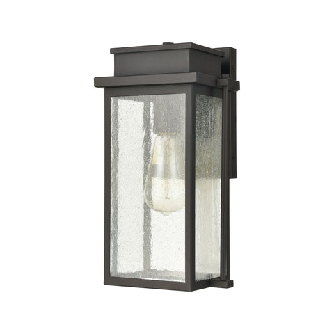Braddock 1-Light Outdoor Sconce in Architectural Bronze with Seedy Glass Enclosure