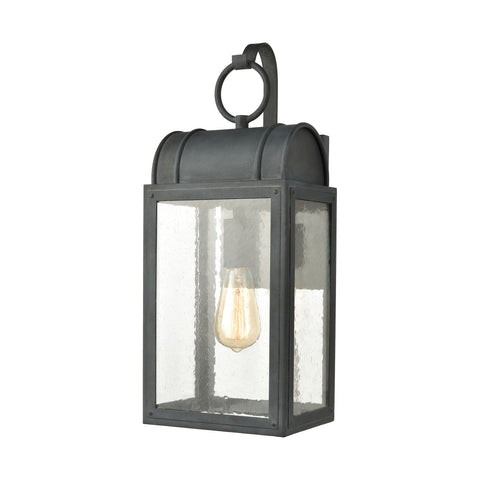 Heritage Hills 1-Light Outdoor Sconce in Aged Zinc with Seedy Glass Enclosure