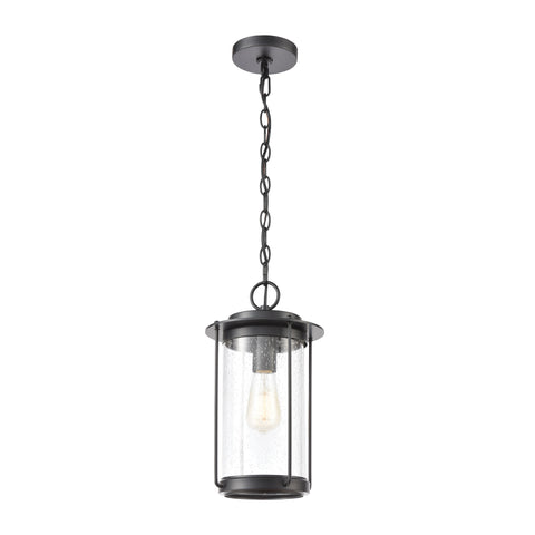 Devonshire 1-Light Hanging in Matte Black with Seedy Glass