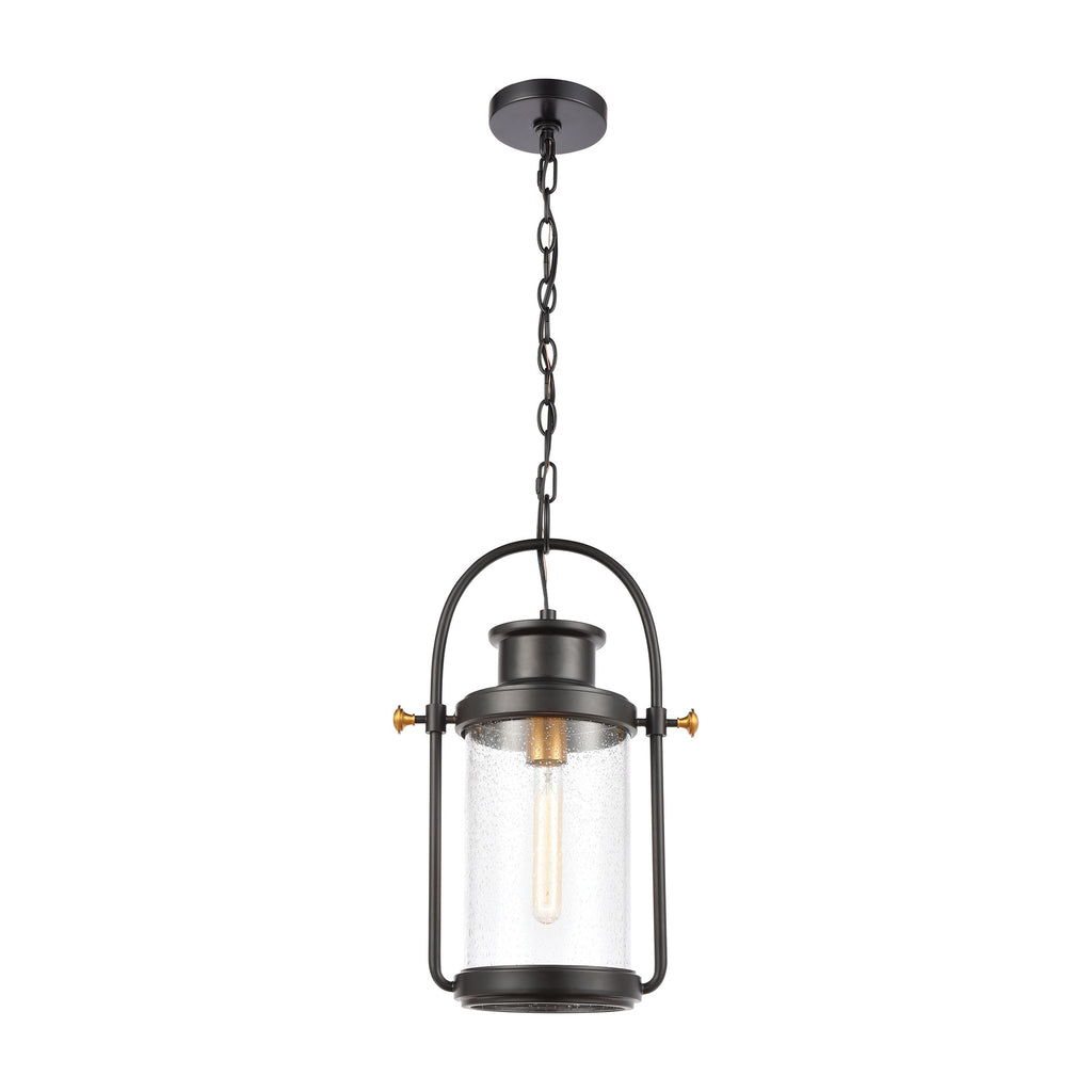 Wexford 1-Light Hanging in Matte Black with Seedy Glass