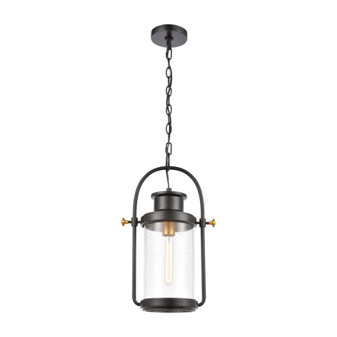 Wexford 1-Light Hanging in Matte Black with Seedy Glass