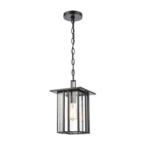 Radnor 1-Light Hanging in Matte Black with Seedy Glass