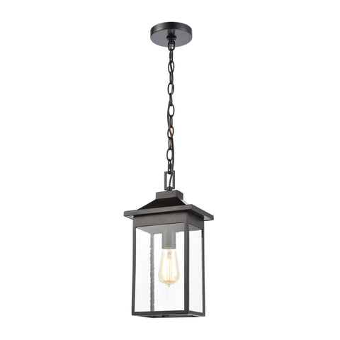 Lamplighter 1-Light Hanging in Matte Black with Seedy Glass
