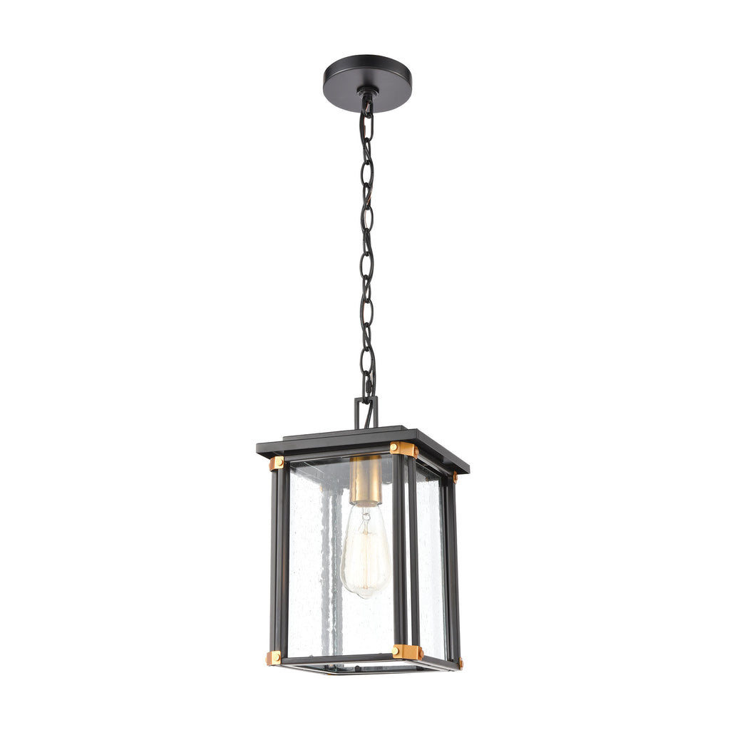 Vincentown 1-Light Hanging in Matte Black with Seedy Glass