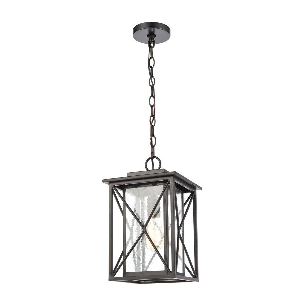 Carriage Light 1-Light Hanging in Matte Black with Seedy Glass