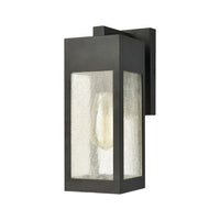 Angus 1-Light Outdoor Sconce in Charcoal with Seedy Glass Enclosure