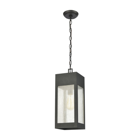 Angus 1-Light Outdoor Pendant in Charcoal with Seedy Glass Enclosure