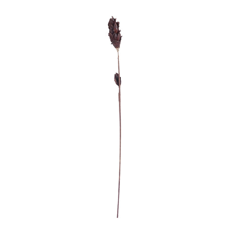 Black Corn Leaf Pole