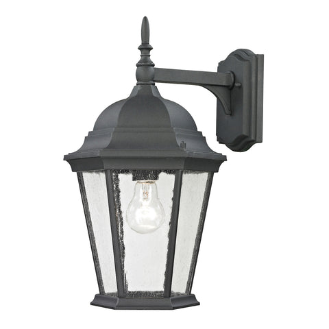 Temple Hill 1 Light Outdoor Wall Sconce In Matte Textured Black