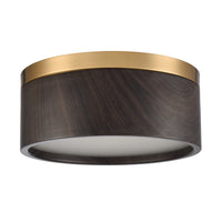 Engel 12'' Wide 2-Light Flush Mount - Satin Brass with Ebony