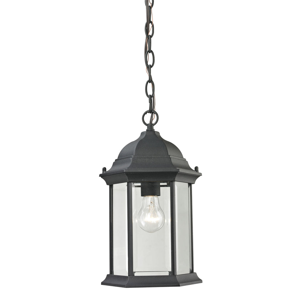 Spring Lake 1 Light Exterior Hanging Lamp In Matte Textured Black