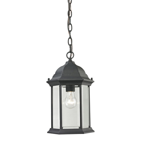 Spring Lake 1 Light Exterior Hanging Lamp In Matte Textured Black