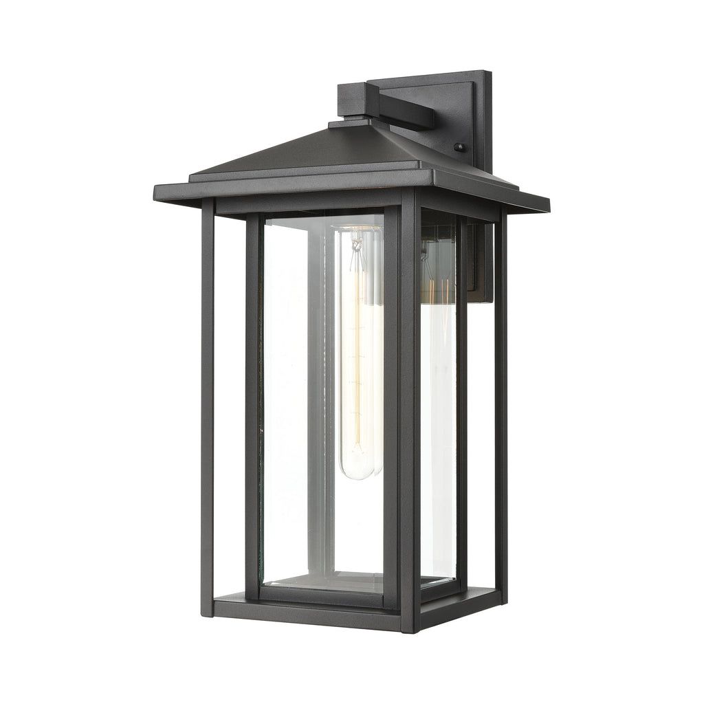 Solitude 1-Light Sconce in Matte Black with Clear Glass