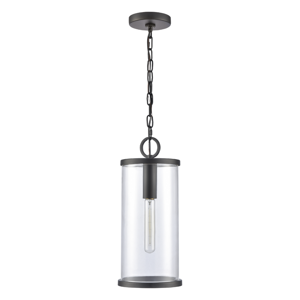 Hopkins 7.25'' Wide 1-Light Outdoor Hanging Light - Charcoal Black