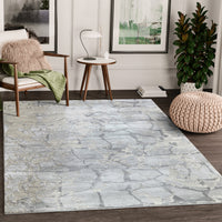 Abstract Marble Stone Grey
